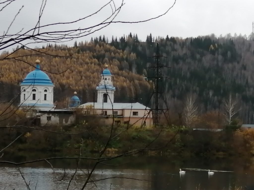 Жителей Ашинского района волнует судьба братьев наших меньших