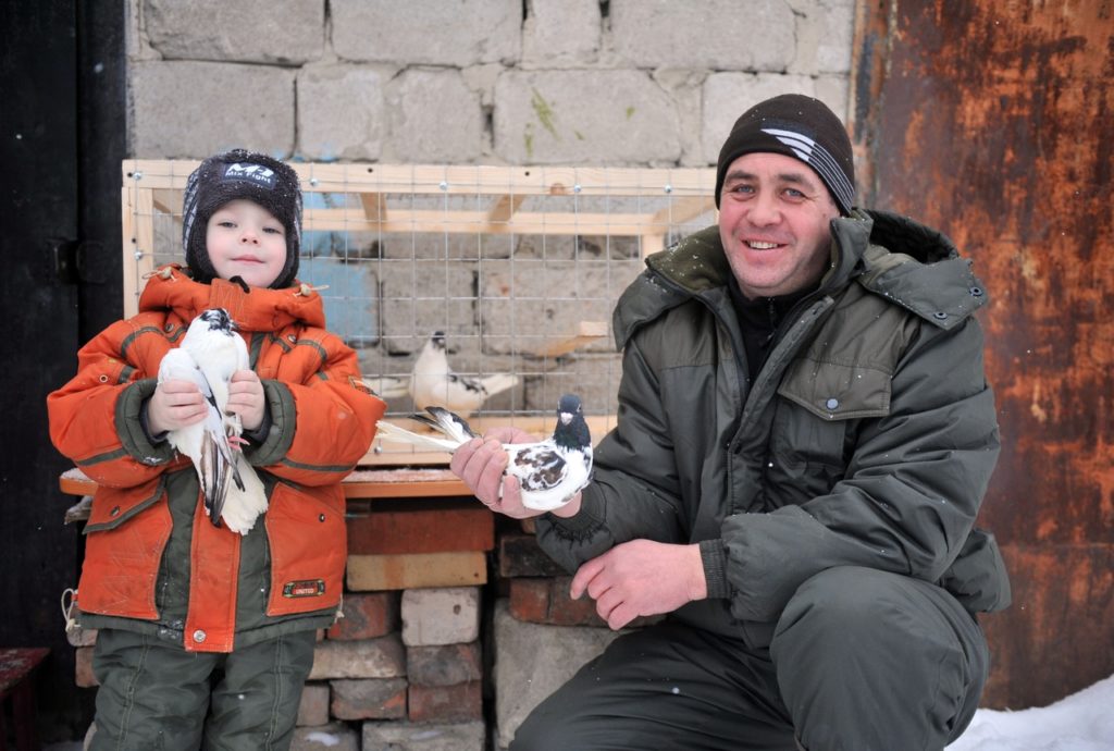 Миньяр и голуби стали судьбой уроженца Кусы Александра Мурзина