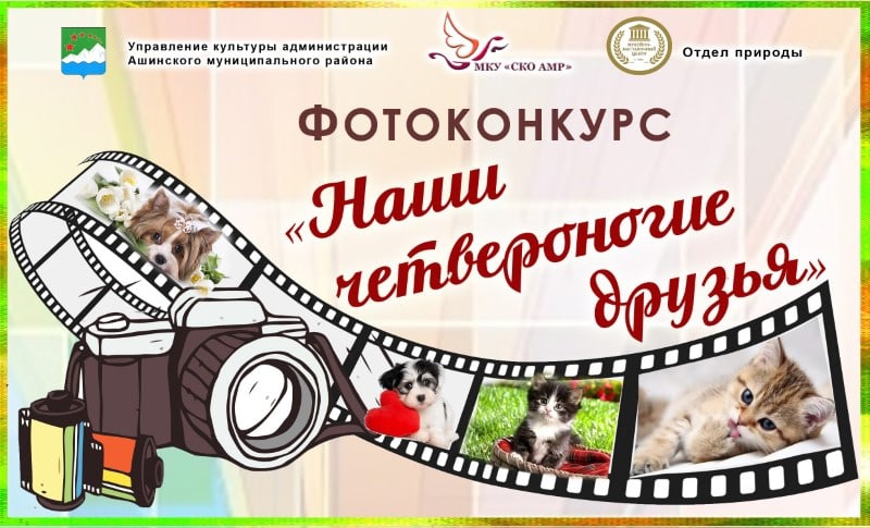 Конкурс фотографий бесплатно